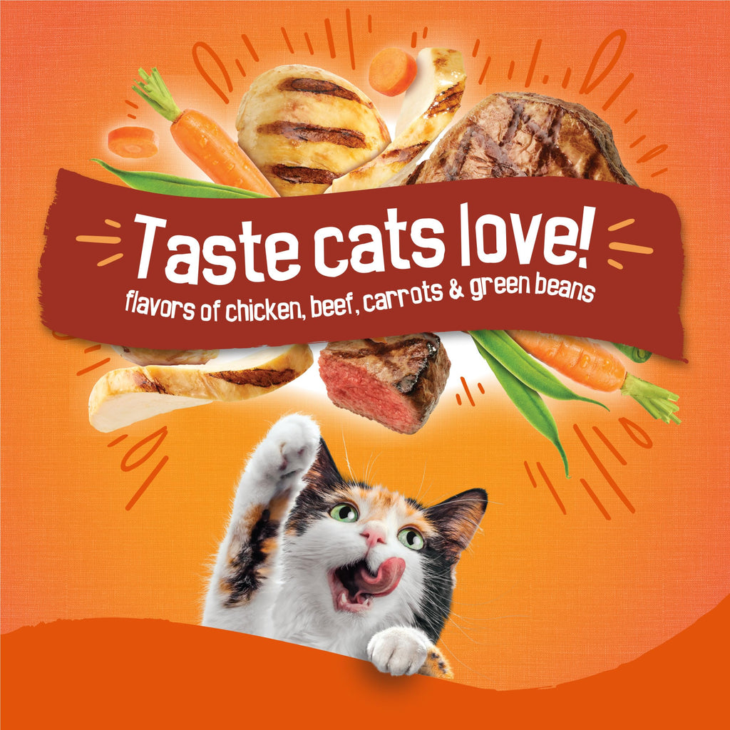 Dry Cat Food 16 lb Bag A436798