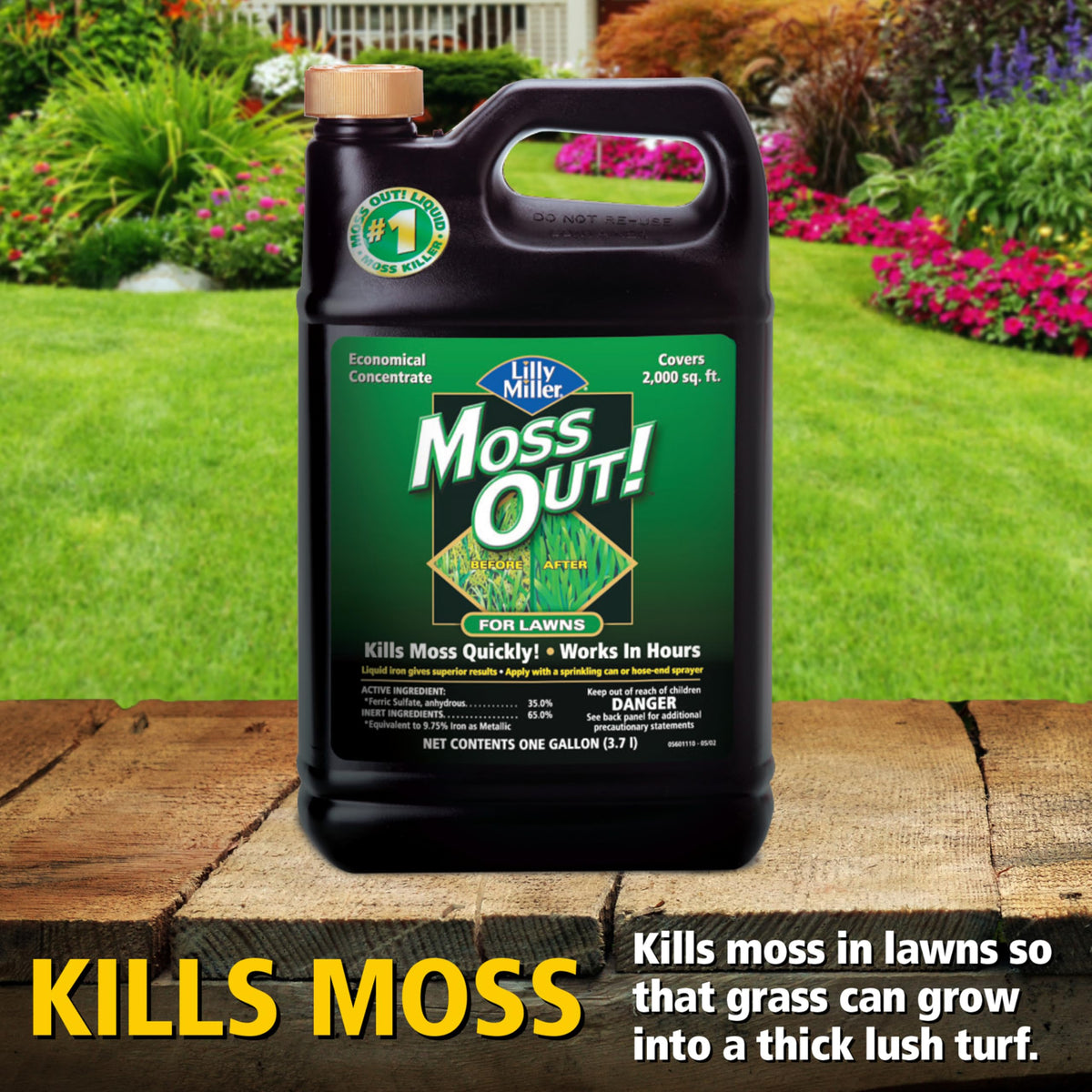 Moss Killer for Lawns Concentrate, 1 Gallon D474