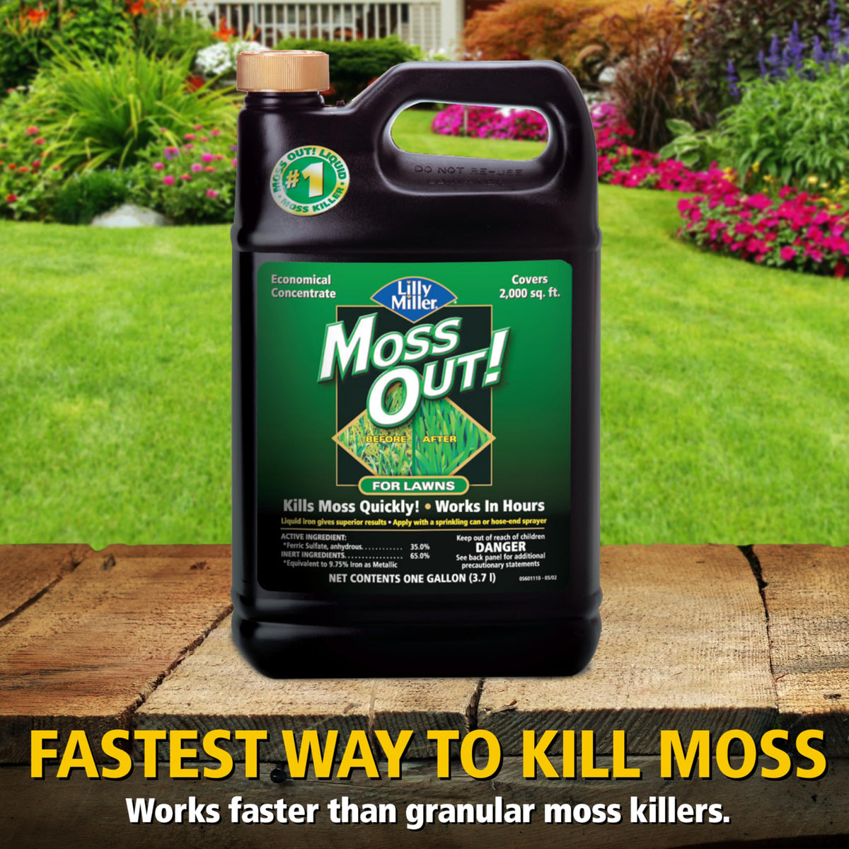 Moss Killer for Lawns Concentrate, 1 Gallon D474