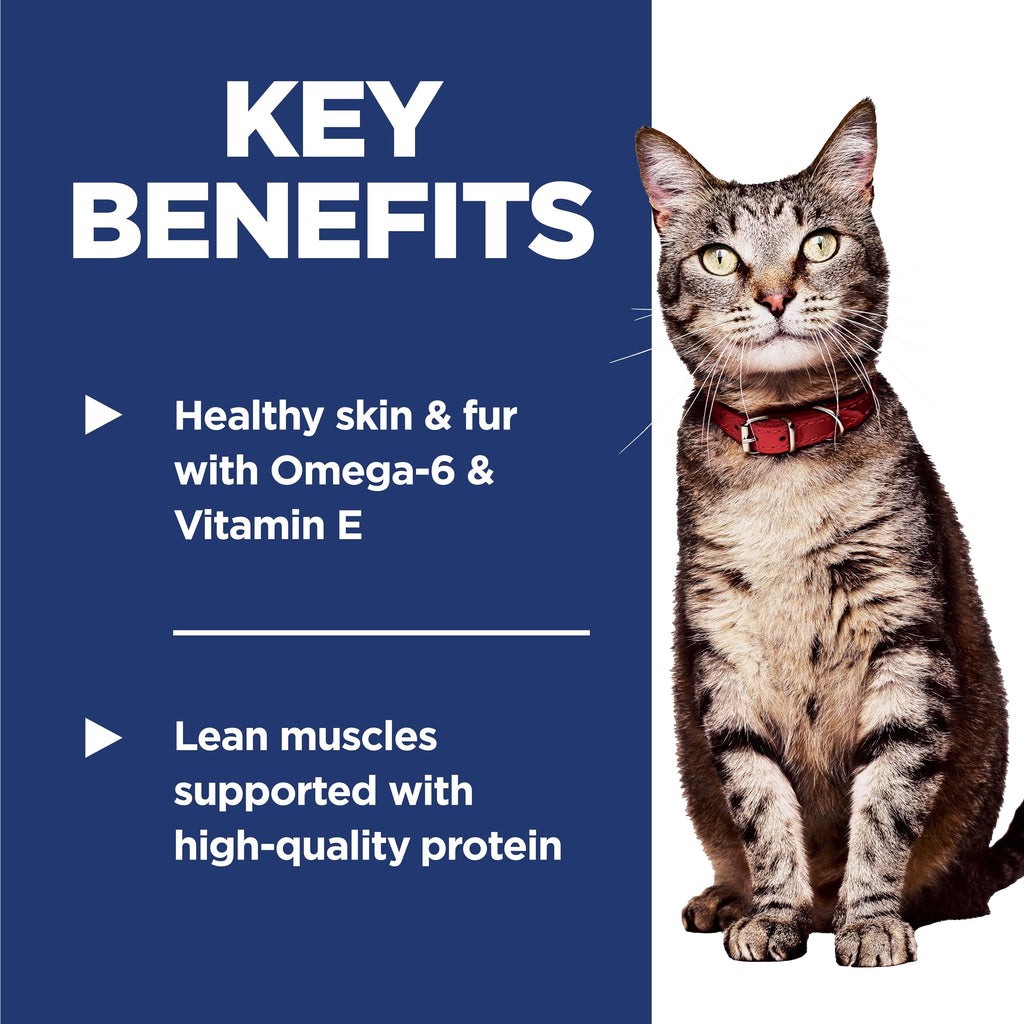 Dry Cat Food Q70189