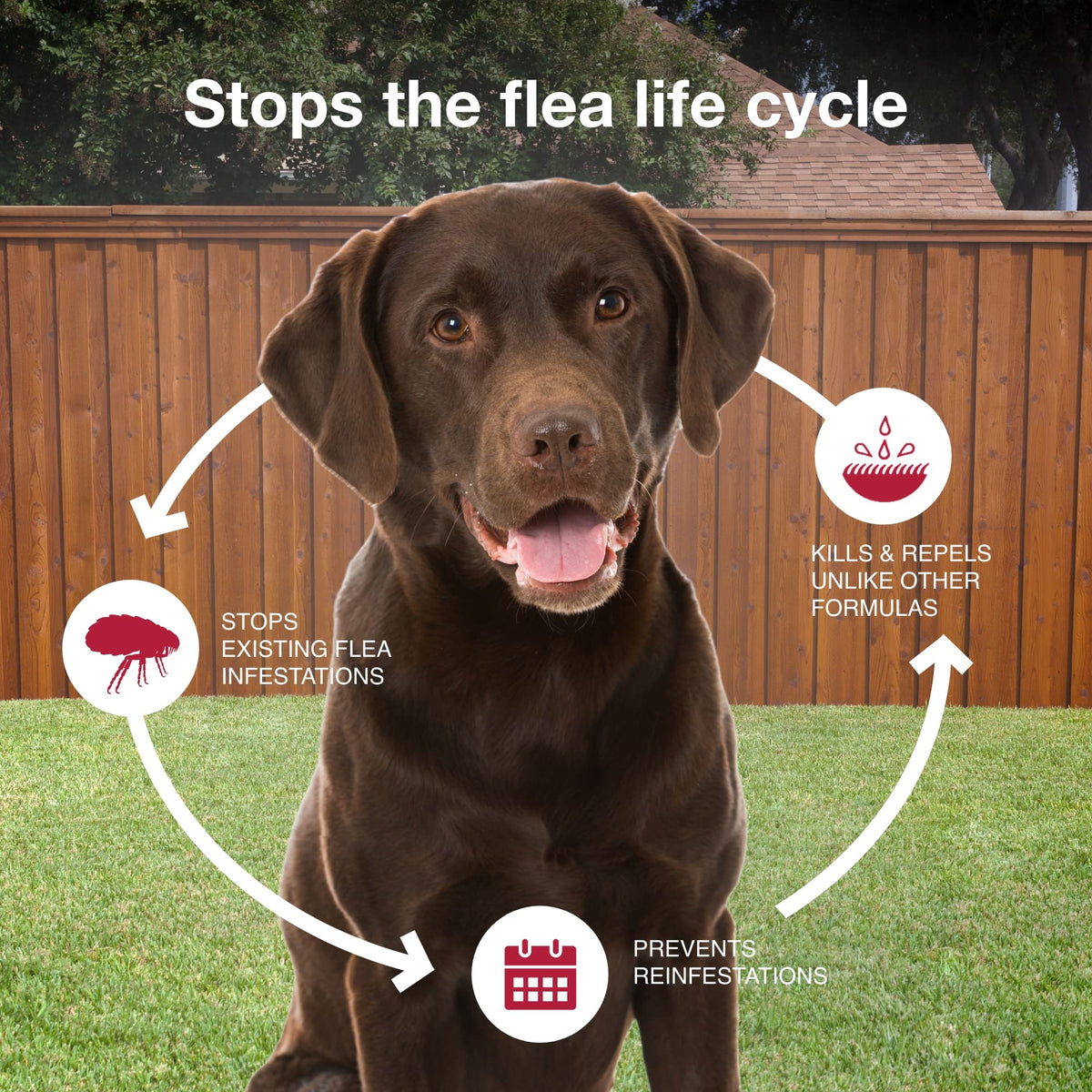 Flea, Tick & Mosquito Treatment & Prevention for Dogs Over 55 lbs U4775