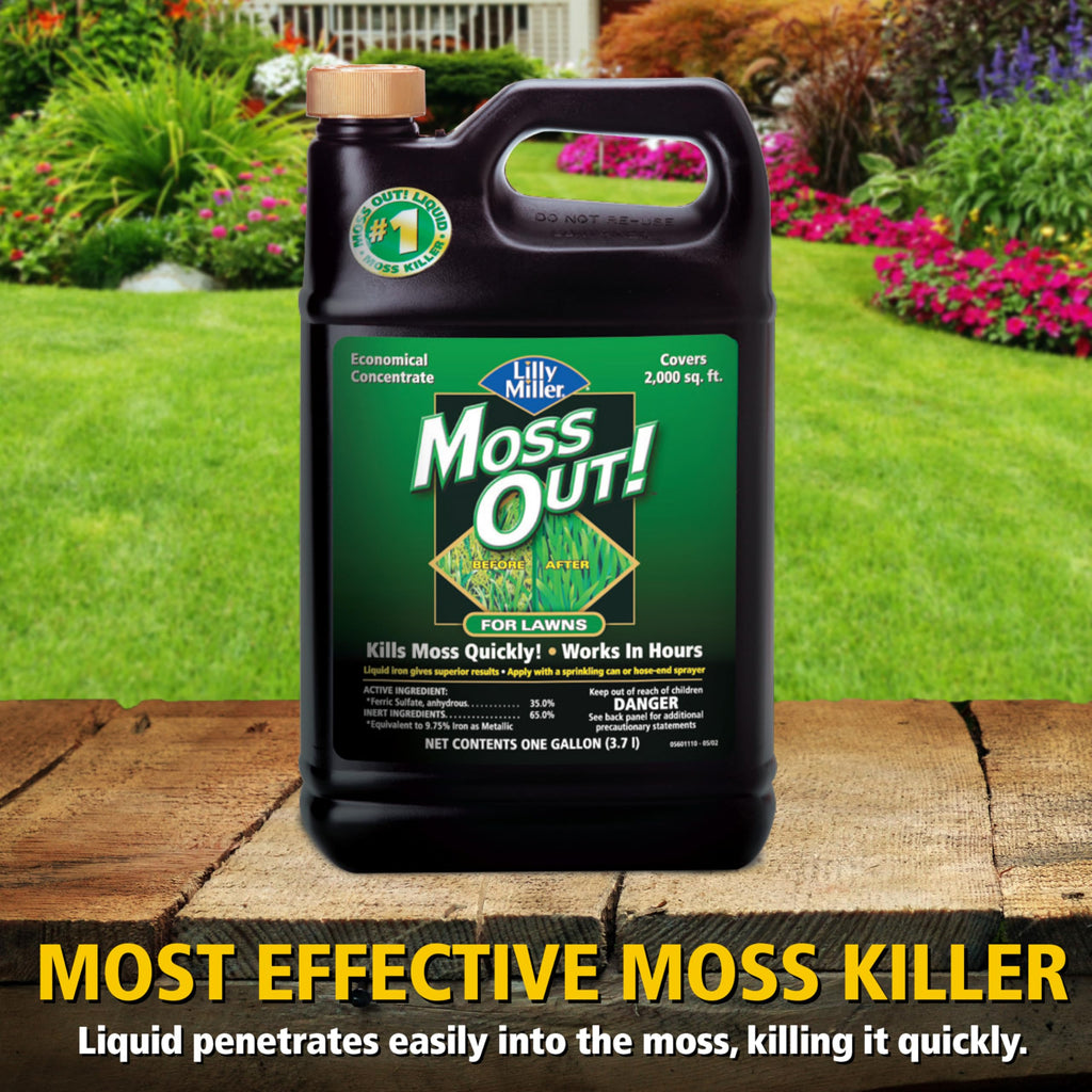 Moss Killer for Lawns Concentrate, 1 Gallon D474