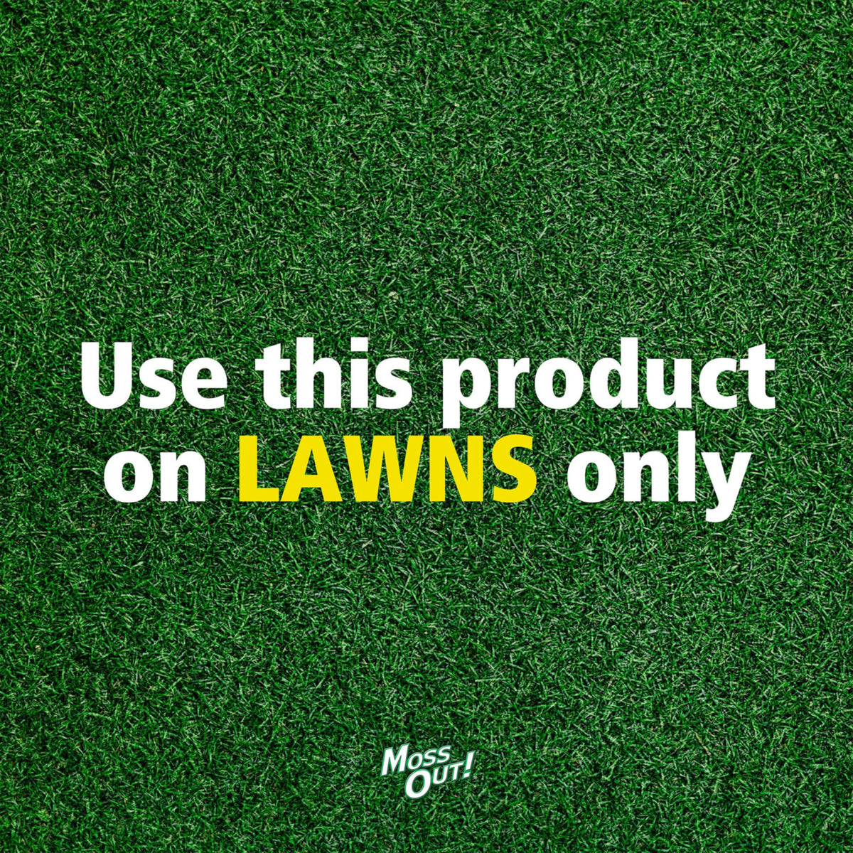 Moss Killer for Lawns Concentrate, 1 Gallon D474
